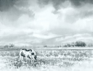 Value Study